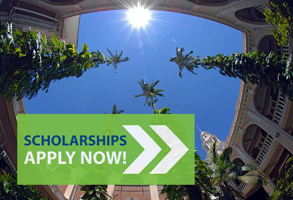 Scholarships Apply Now !